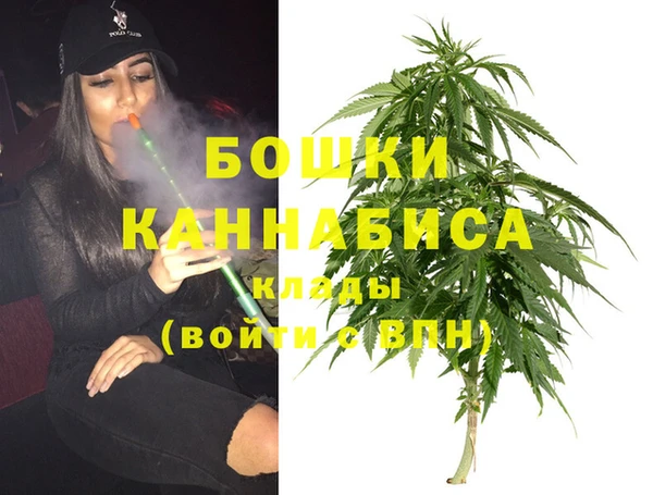 гидра Белокуриха