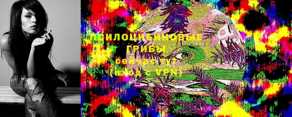 гидра Белокуриха