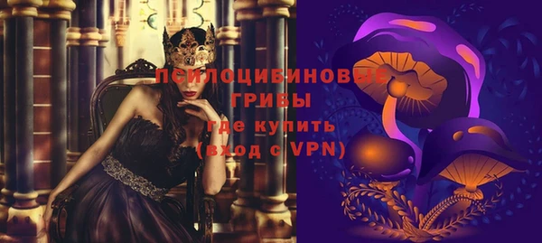 соль ск Богородицк